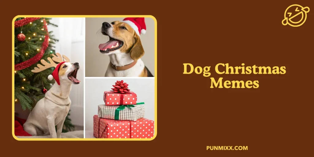Dog Christmas Memes