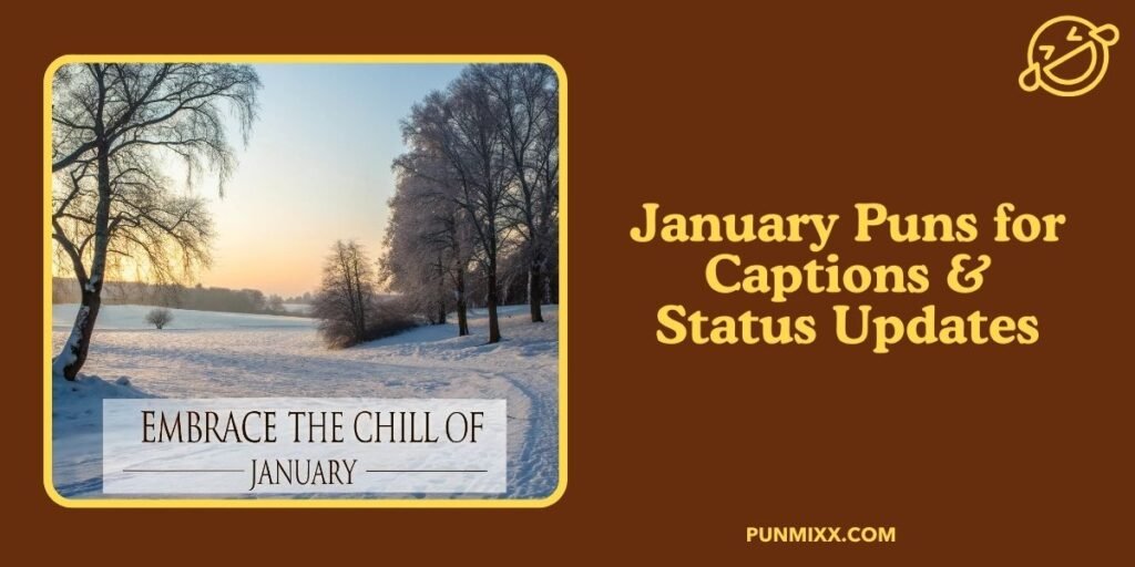 January Puns for Captions & Status Updates