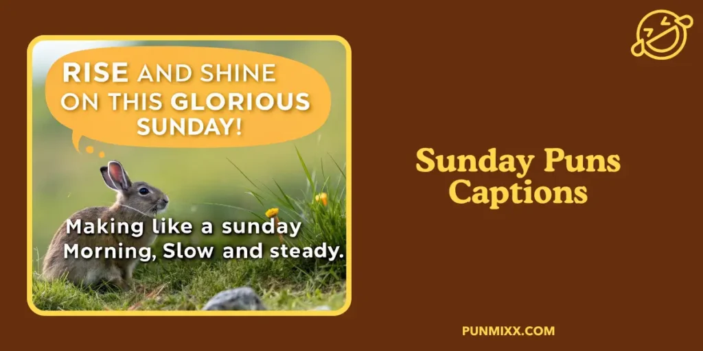Sunday Puns Captions