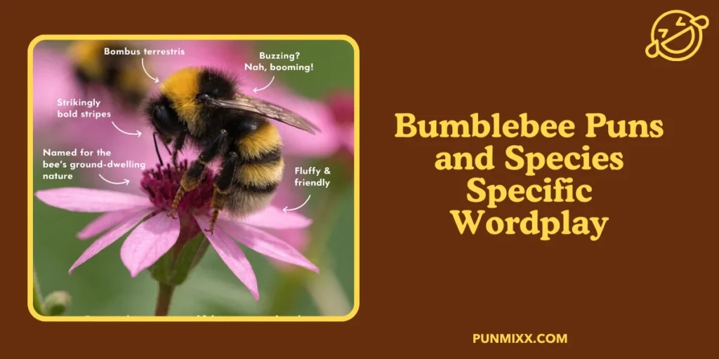 Bumblebee Puns and Species Specific Wordplay