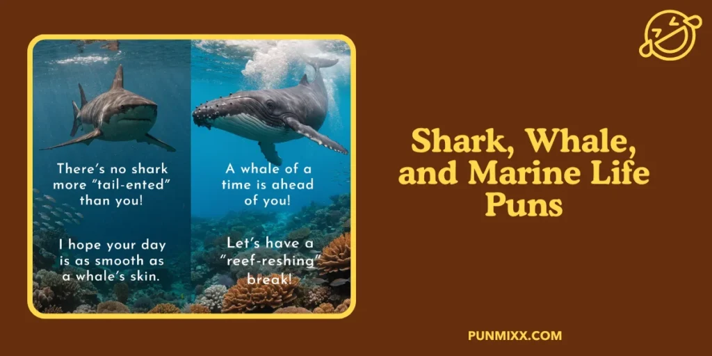 Shark, Whale, and Marine Life Puns