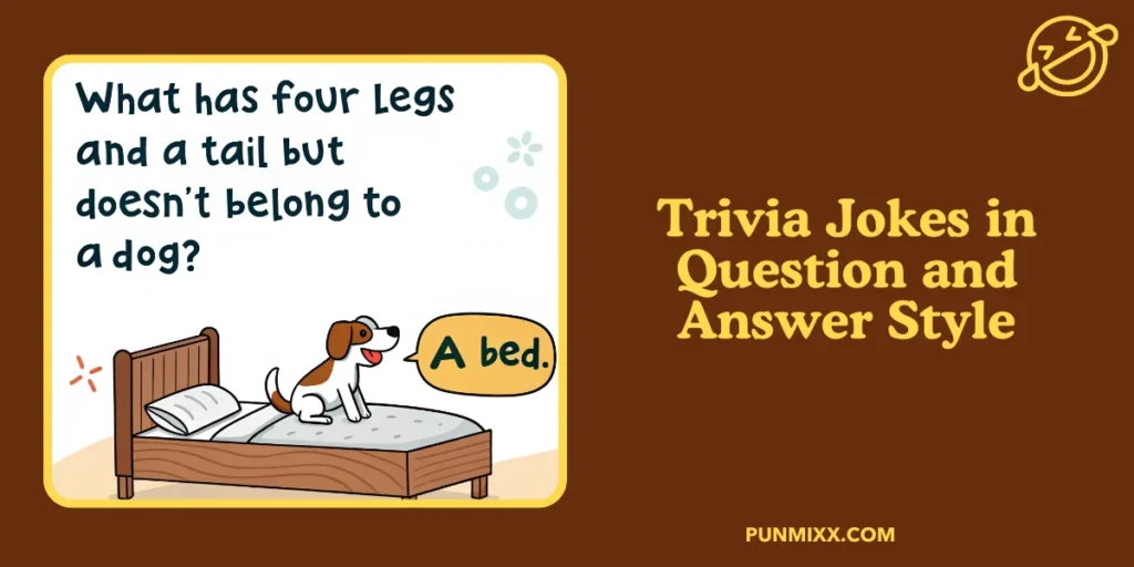 Trivia Jokes in Question and Answer Style