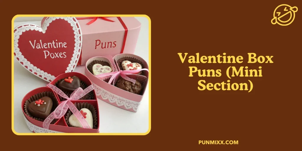 Valentine Box Puns (Mini Section)