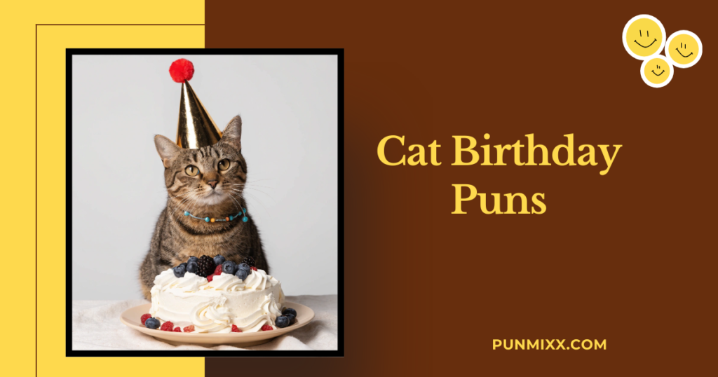 Cat Birthday Puns