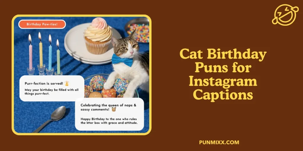 Cat Birthday Puns for Instagram Captions