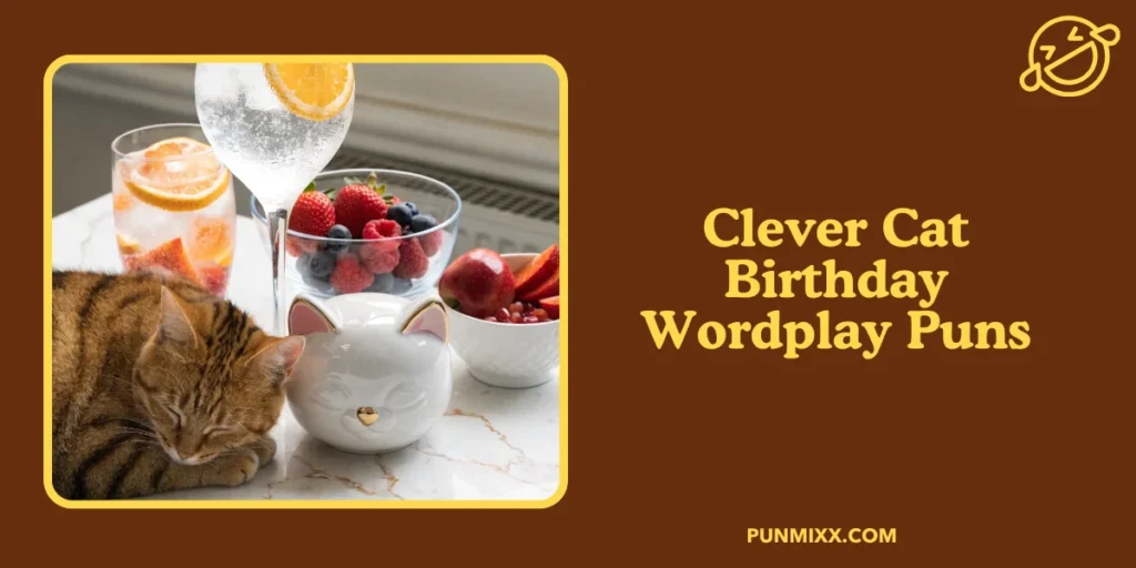 Clever Cat Birthday Wordplay Puns