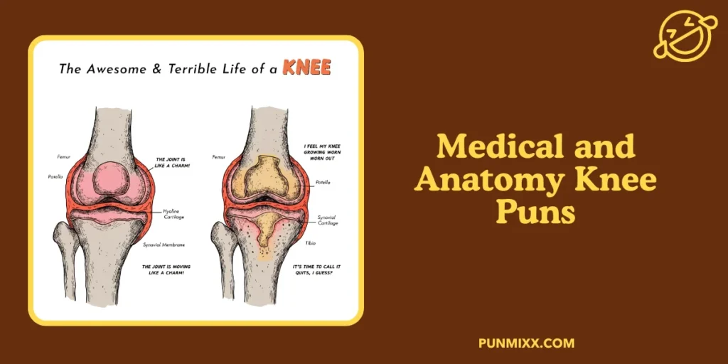 Medical and Anatomy Knee Puns