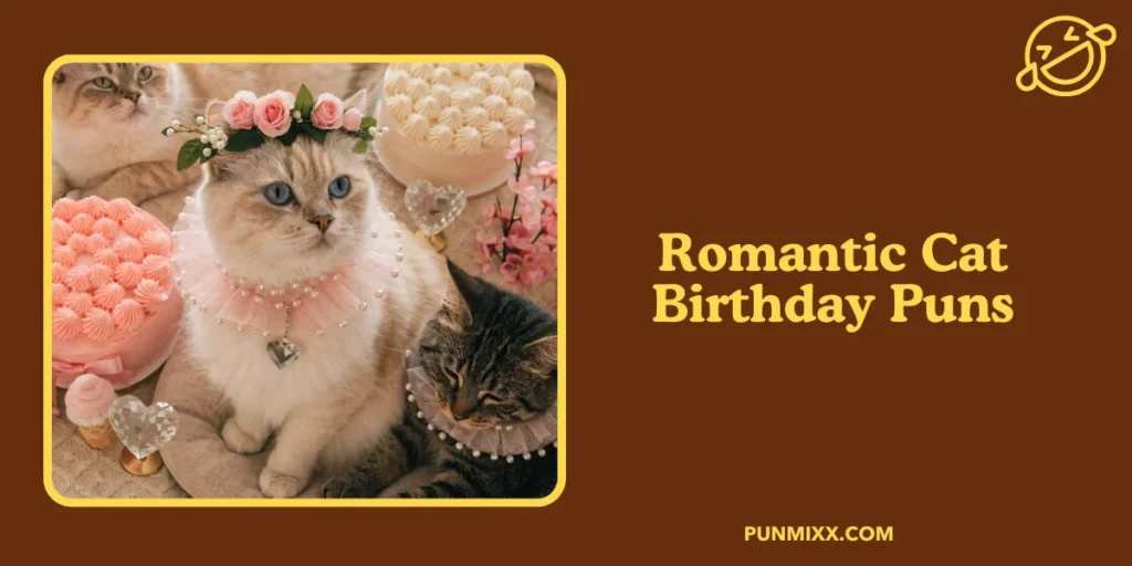 Romantic Cat Birthday Puns