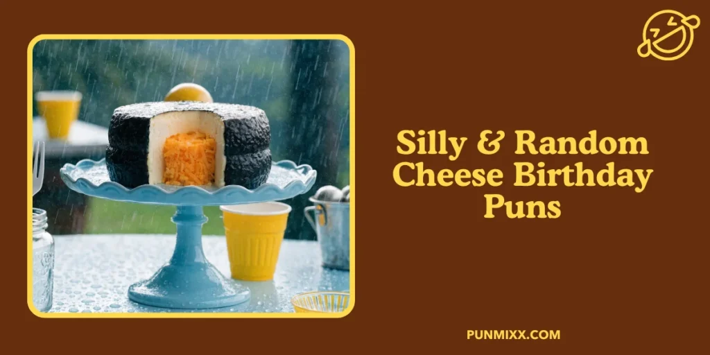 Silly & Random Cheese Birthday Puns