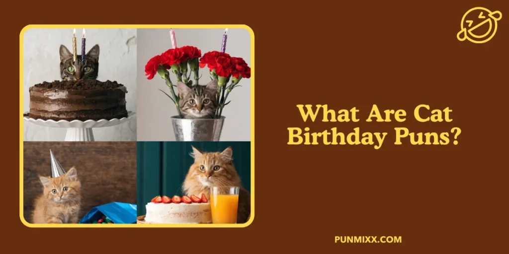 What Are Cat Birthday Puns?