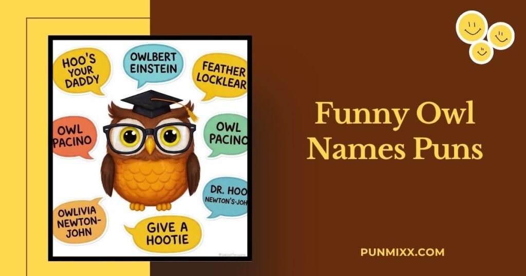 Funny Owl Names Puns