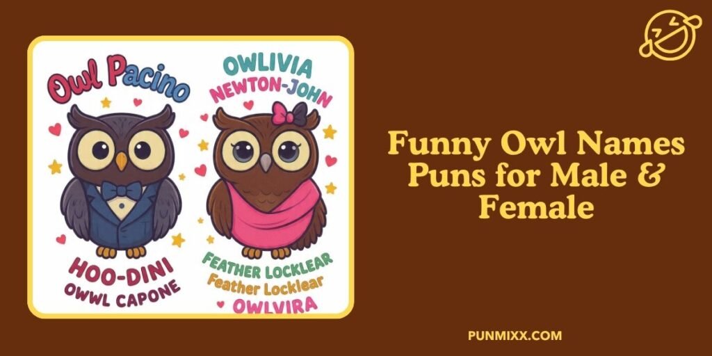 Funny Owl Names Puns for Male & Female
