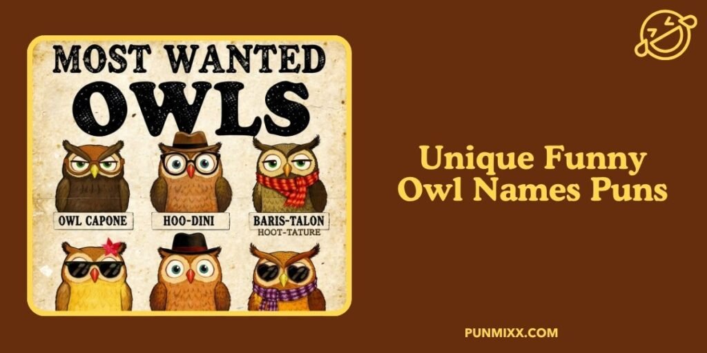 Unique Funny Owl Names Puns