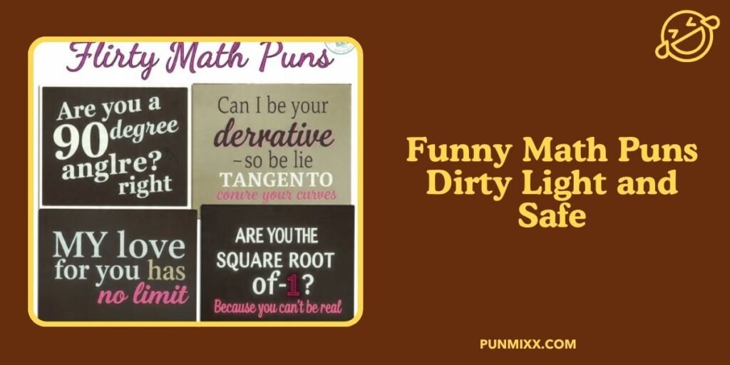 Funny Math Puns Dirty Light and Safe