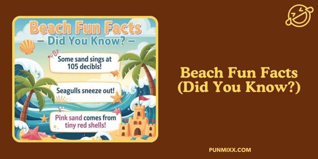 Beach Fun Facts (Did You Know)